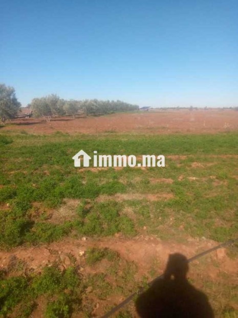 Terrain à vendre - Vente Immobilier - Marrakech - photo 3