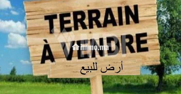 Terrain à vendre Tanger أرض للبيع طنجة - Vente Immobilier - Tanger - photo 1