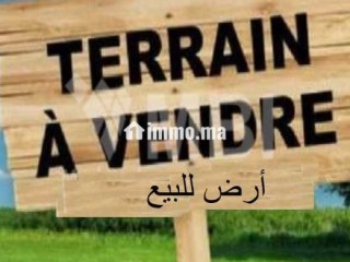 Terrain à vendre Tanger أرض للبيع طنجة - Terrain à vendre - Tanger