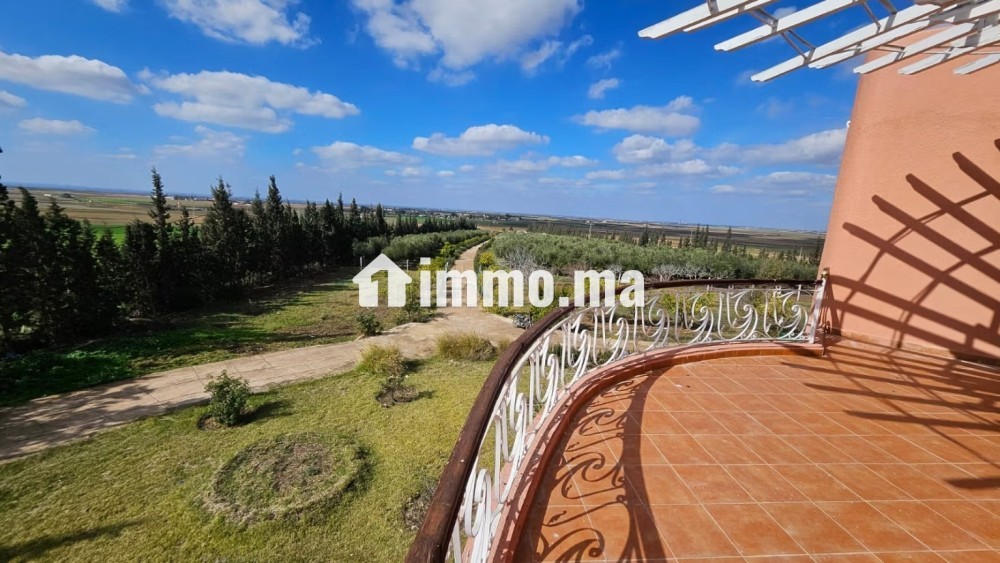 Ferme de 20000 m2 de terrain a settat nord - Vente Immobilier - Settat - photo 6