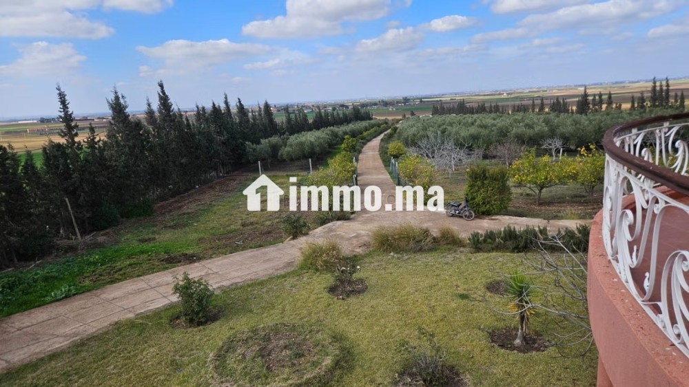 Ferme de 20000 m2 de terrain a settat nord - Vente Immobilier - Settat - photo 7