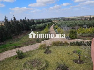 Ferme de 20000 m2 de terrain a settat nord - Maison à vendre - Settat