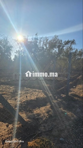 Annonce – Terrain titré à vendre à Marrakech - Vente Immobilier - Marrakech - photo 1