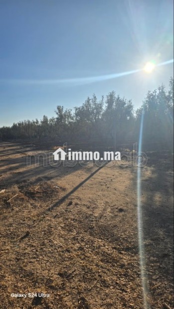 Annonce – Terrain titré à vendre à Marrakech - Vente Immobilier - Marrakech - photo 2