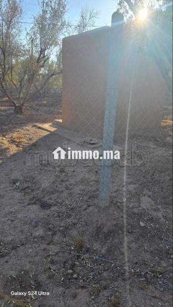 Annonce – Terrain titré à vendre à Marrakech - Vente Immobilier - Marrakech - photo 6