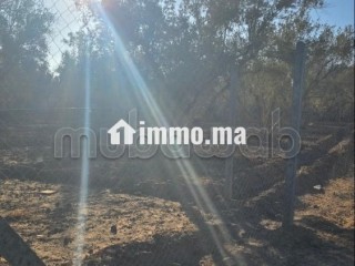 Annonce – Terrain titré à vendre à Marrakech - Terrain à vendre - Marrakech