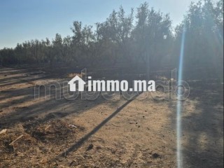 Annonce – Terrain titré à vendre à Marrakech - Terrain à vendre - Marrakech