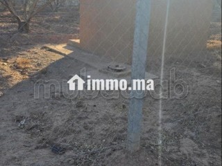 Annonce – Terrain titré à vendre à Marrakech - Terrain à vendre - Marrakech