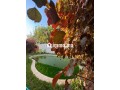 Villa de 220m² avec Jardin et Piscine à DarBouazza - miniature 3