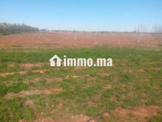 أراضي للبيع Terrains à vendre 2h - Terrain à vendre - Marrakech