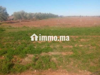 أراضي للبيع Terrains à vendre 2h - Terrain à vendre - Marrakech