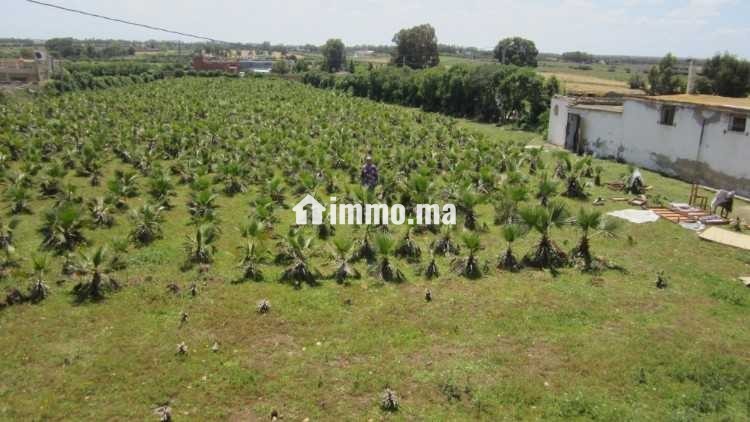 Terrain a vendre sur r. azemmour - Vente Immobilier - Casablanca - photo 1