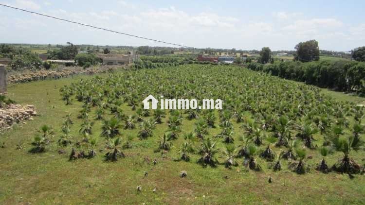 Terrain a vendre sur r. azemmour - Vente Immobilier - Casablanca - photo 3