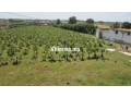 Terrain a vendre sur r. azemmour - miniature 1
