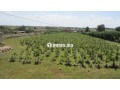 Terrain a vendre sur r. azemmour - miniature 3