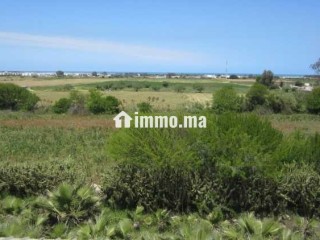 Terrain a vendre sur r. azemmour - Terrain à vendre - Casablanca