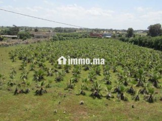 Terrain a vendre sur r. azemmour - Terrain à vendre - Casablanca