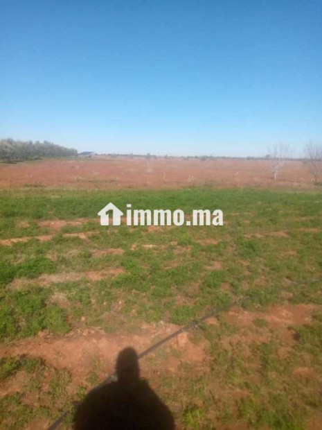 Terrain à vendre - Vente Immobilier - Marrakech - photo 1