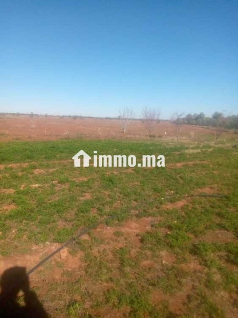 Terrain à vendre - Vente Immobilier - Marrakech - photo 4