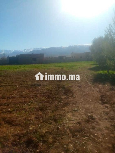 Terrain à vendre - Vente Immobilier - Marrakech - photo 5