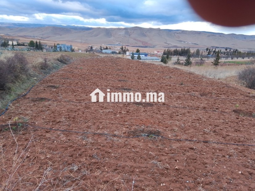 اراضي فلاحية للبيع - Vente Immobilier - Sefrou - photo 4