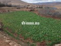 اراضي فلاحية للبيع - miniature 1