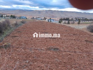 اراضي فلاحية للبيع - Terrain à vendre - Sefrou