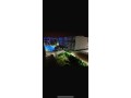 appartement-a-lachat-a-dar-bouazza-small-0
