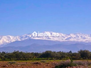 À Vendre – Terrain Exceptionnel de 1 Hectare avec VNA – Route d’Amizmiz, Marrakech - Terrain à vendre - Marrakech