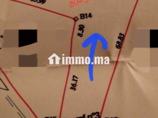 ارض مساحتها 2630 متر مربع للبيع - Terrain à vendre - Marrakech