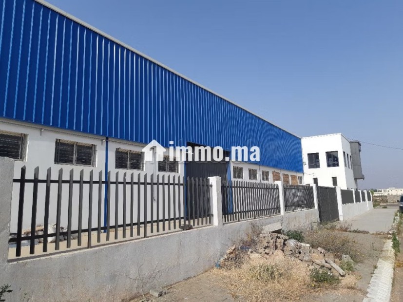 URGENT Bâtiment industriel neuf à vendre à berrechid - Vente Immobilier - Berrechid - photo 3