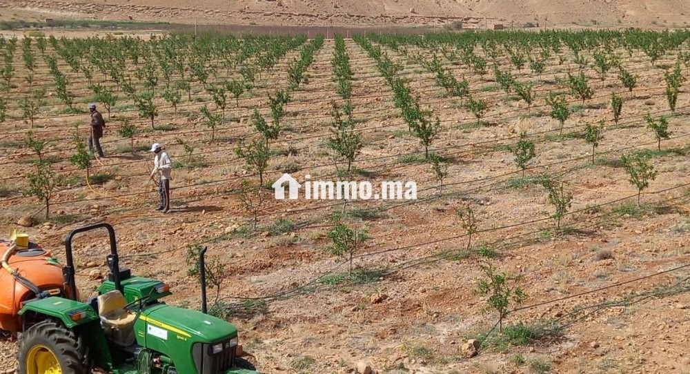 Ferme agricole titrée de 30,5 ha à vendre Midelt - Vente Immobilier - Midelt - photo 1