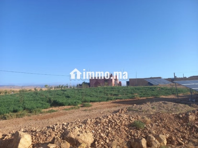 Ferme agricole titrée de 30,5 ha à vendre Midelt - Vente Immobilier - Midelt - photo 6