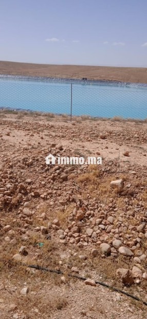 Ferme agricole titrée de 30,5 ha à vendre Midelt - Vente Immobilier - Midelt - photo 8