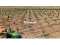 Ferme agricole titrée de 30,5 ha à vendre Midelt - miniature 1