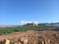 Ferme agricole titrée de 30,5 ha à vendre Midelt - miniature 6