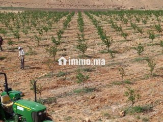 Ferme agricole titrée de 30,5 ha à vendre Midelt - Terrain à vendre - Midelt