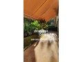 Joli studio en RDC - miniature 7