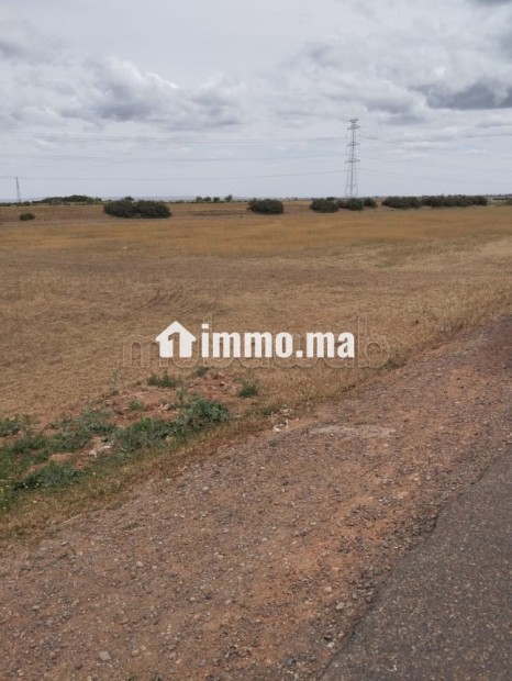 Terrain en plein sidi Benour - Vente Immobilier - Sidi Bennour - photo 2
