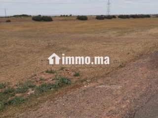 Terrain en plein sidi Benour - Terrain à vendre - Sidi Bennour