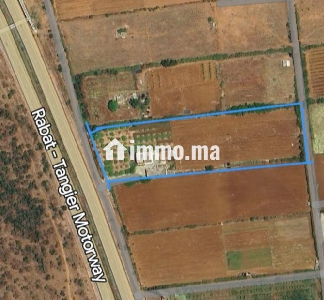 À louer : Ferme agricole - Location Immobilier - Larache - photo 1