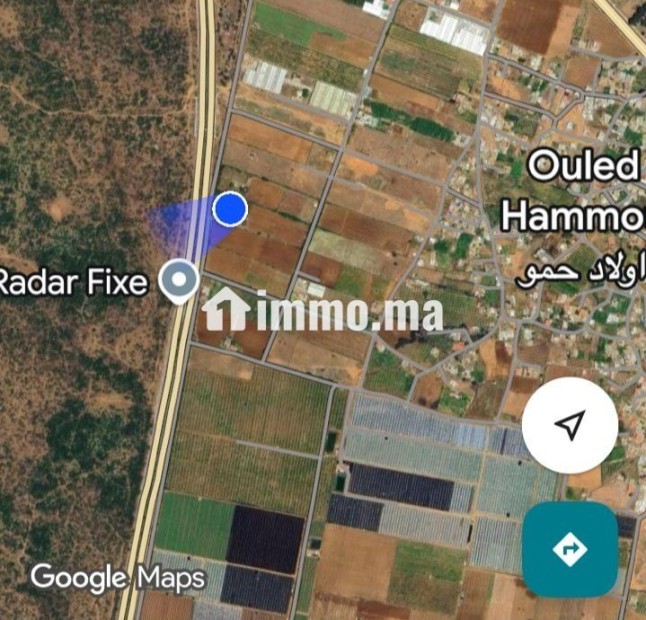 À louer : Ferme agricole - Location Immobilier - Larache - photo 2