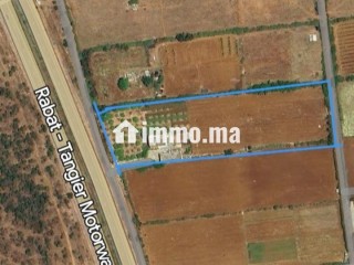 À louer : Ferme agricole - Terrain à louer - Larache