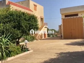À louer : Ferme agricole - Terrain à louer - Larache
