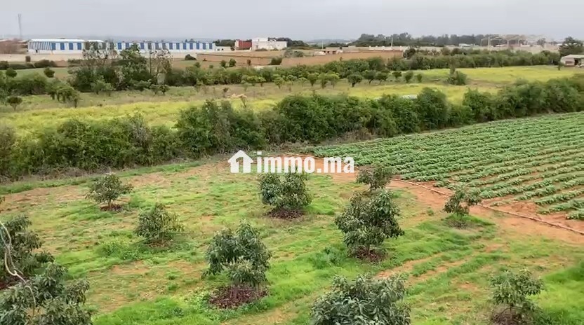 للإيجار: مزرعة فلاحية - Location Immobilier - Larache - photo 1