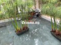 Villa a la vente Mohammedia - miniature 4
