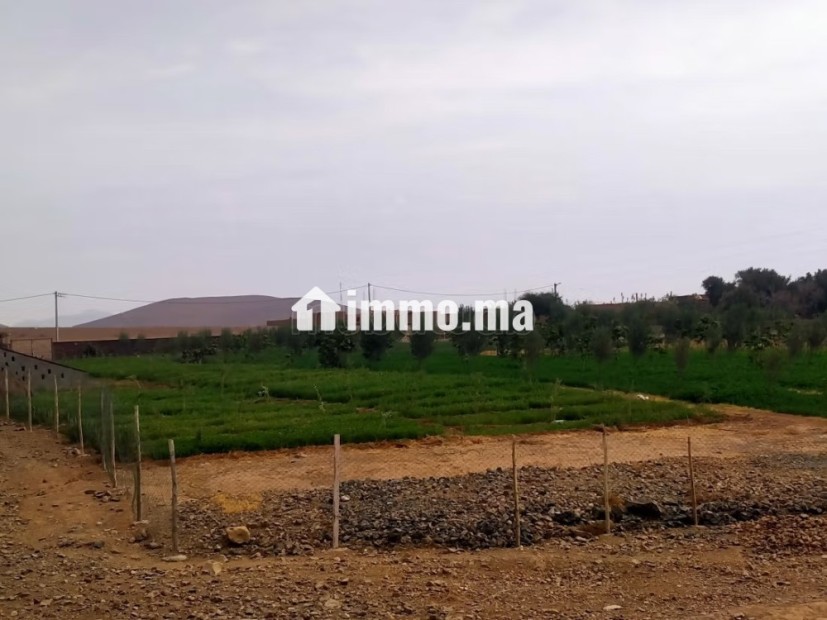 Jolie ferme à vendre à Route Casablanca. Surface totale 2000 m² - Vente Immobilier - Marrakech - photo 1