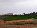 Jolie ferme à vendre à Route Casablanca. Surface totale 2000 m² - miniature 1