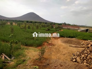 Jolie ferme à vendre à Route Casablanca. Surface totale 2000 m² - Terrain à vendre - Marrakech