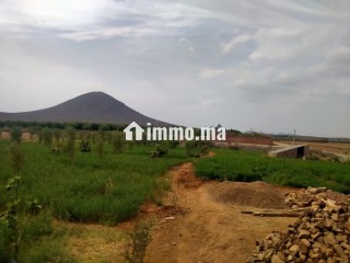 Jolie ferme à vendre à Route Casablanca. Surface totale 2000 m² - Terrain à vendre - Marrakech
